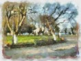 /album/paisaje-locales-/plaza-de-coronel-jpg/